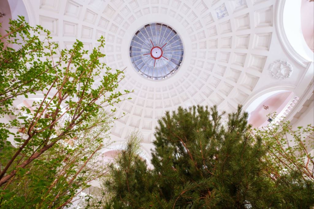 "Чорнобиль. Подорож" продовжили до 25 липня: триває марафон екскурсій